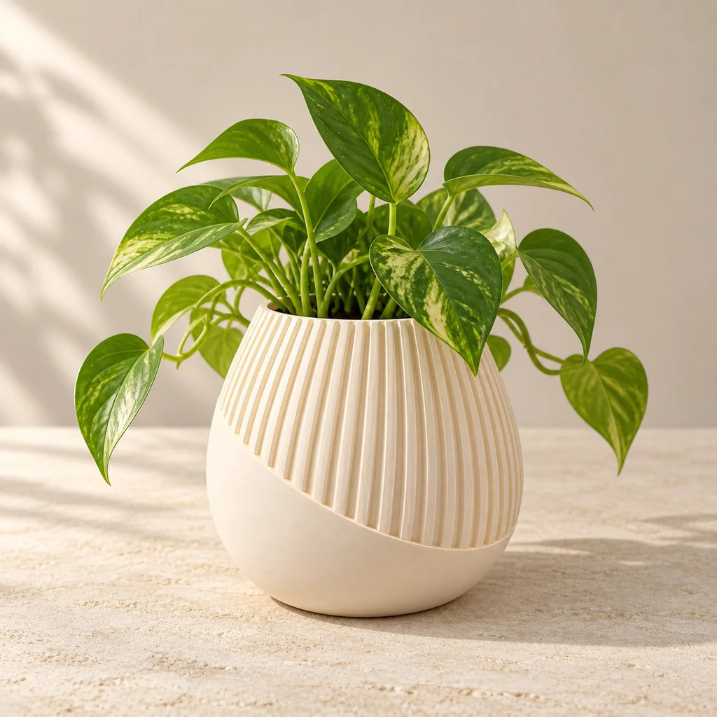 Rounded ribbed vase